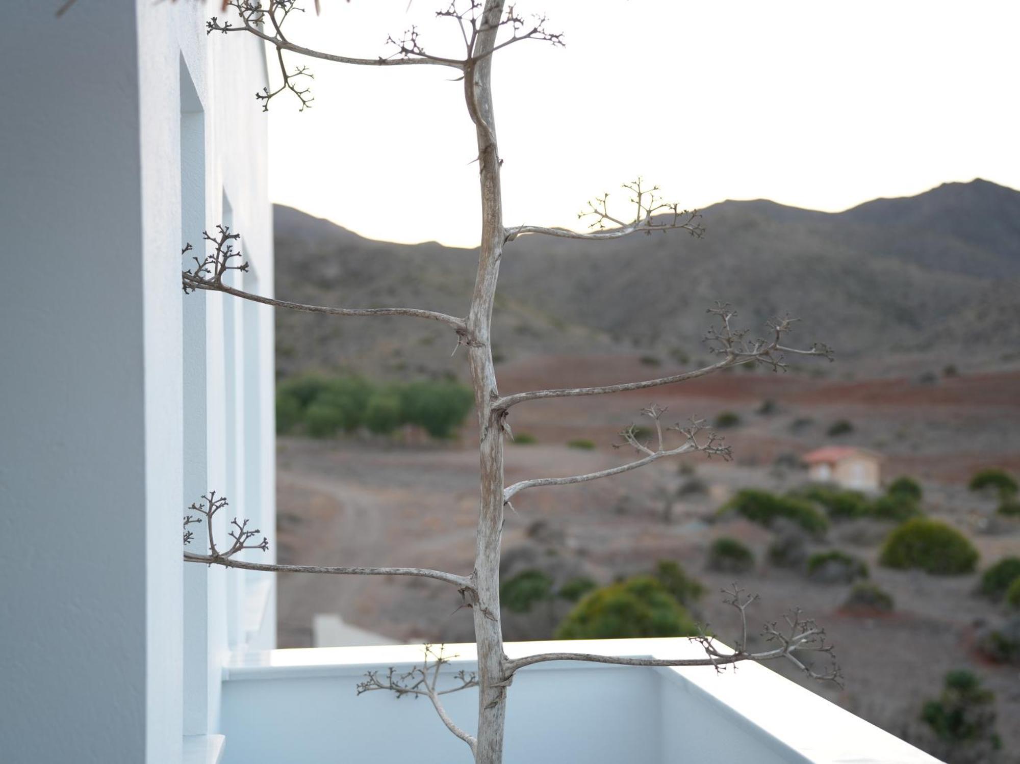 Senses Villa San Jose  Bagian luar foto